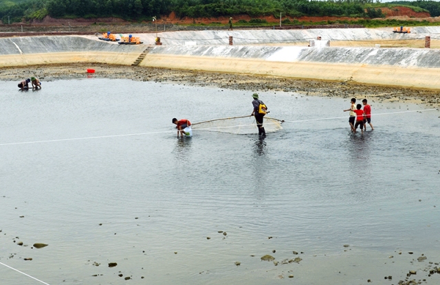 Quảng Ninh ngăn ngừa các hộ dân xả nước, tôm chết ra môi trường -Ảnh:TL